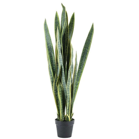 By-Boo Sansevieria kunstplant L