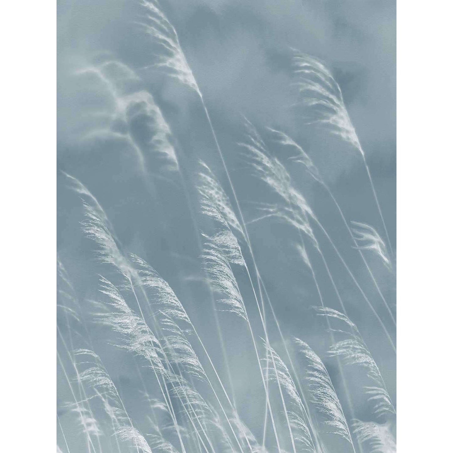 Eijffinger behang Waterfront 300902