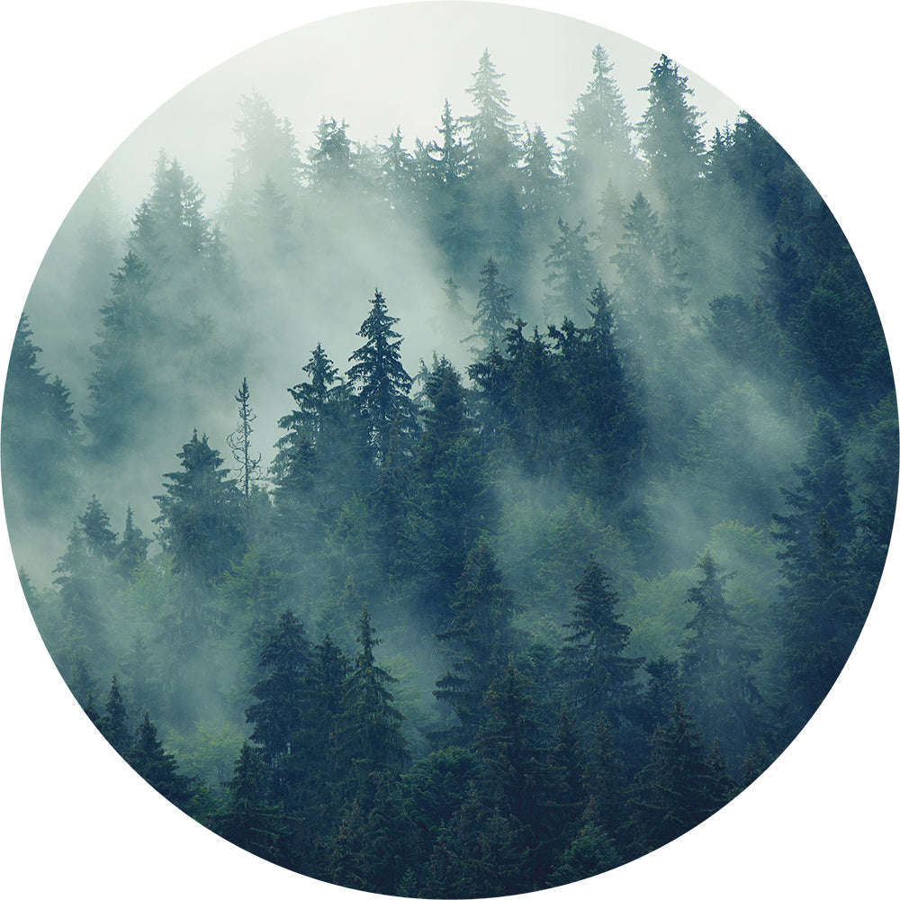 Staerkk Muurcirkel Bos in de Mist