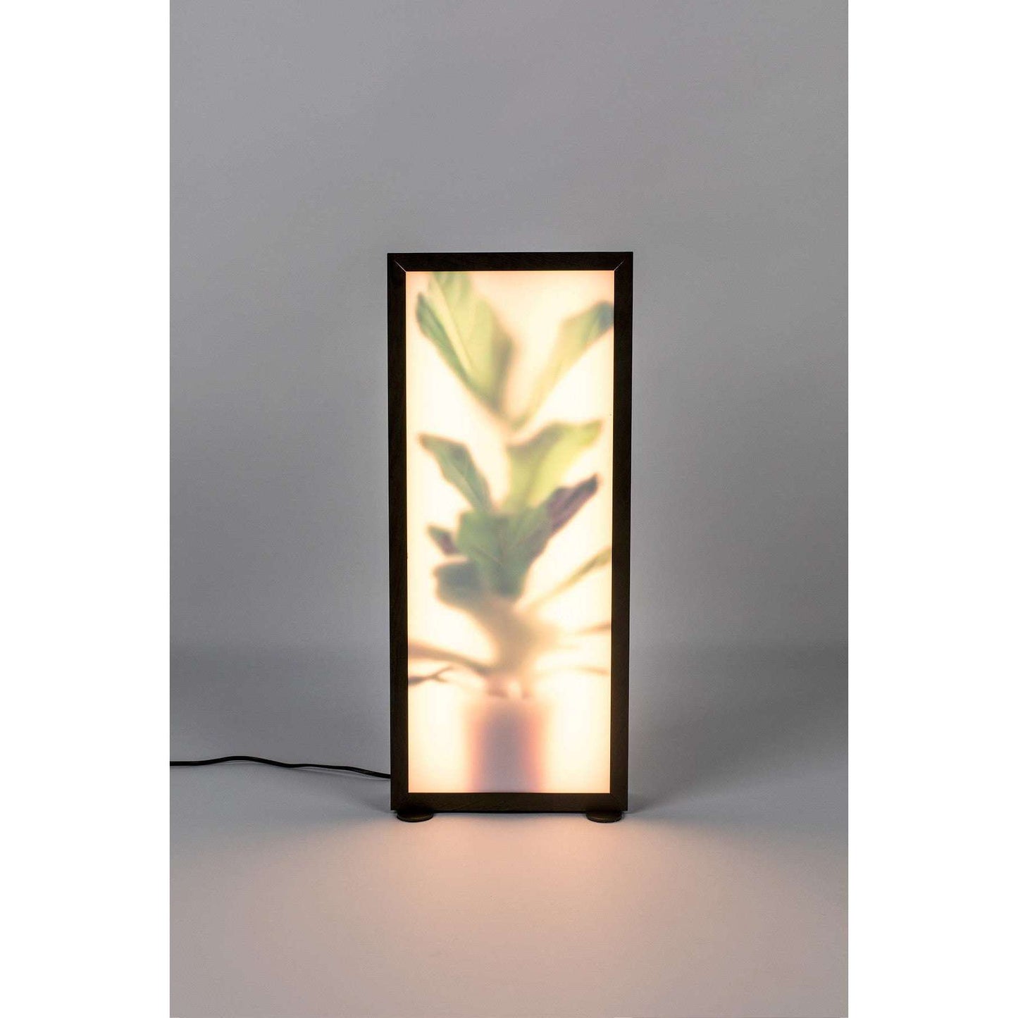 Zuiver vloerlamp grow l 8 x 26 x 61 cm