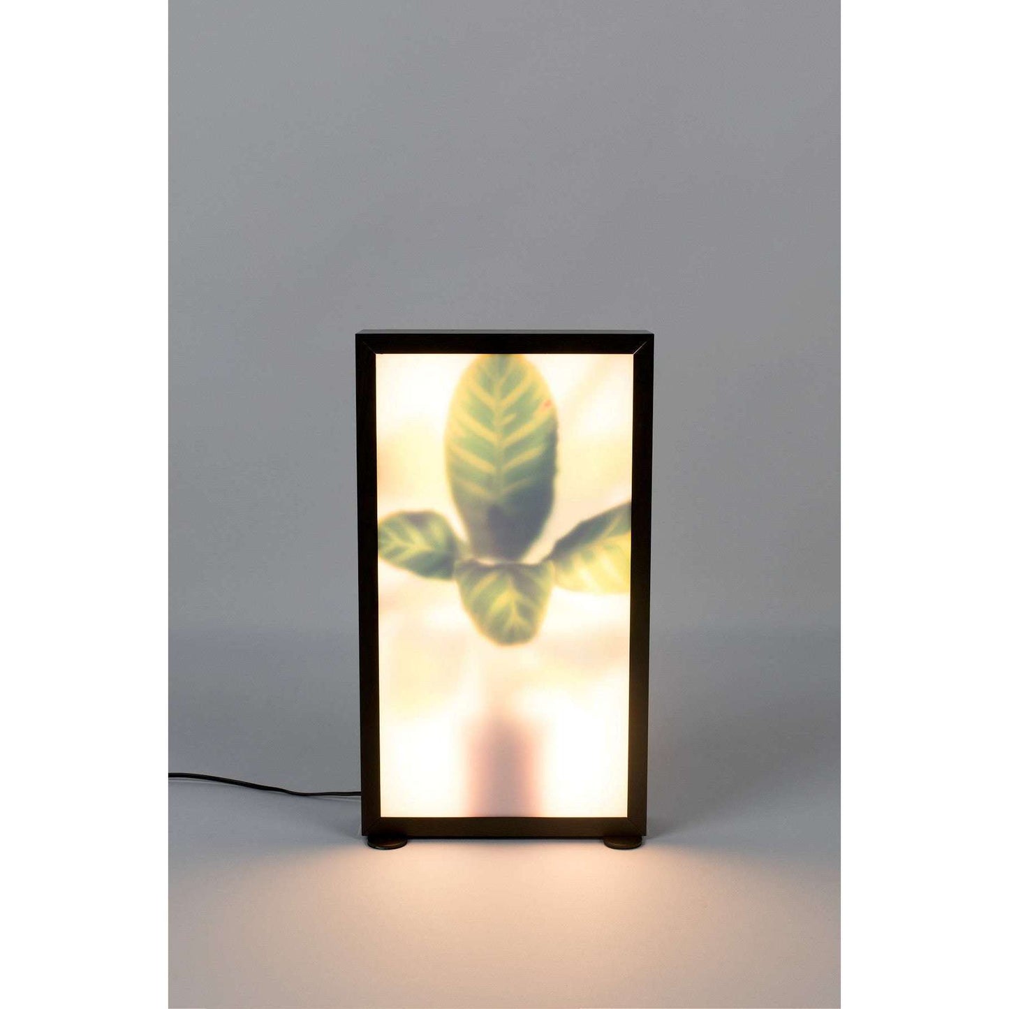 Zuiver vloerlamp grow m 8 x 29 x 51 cm