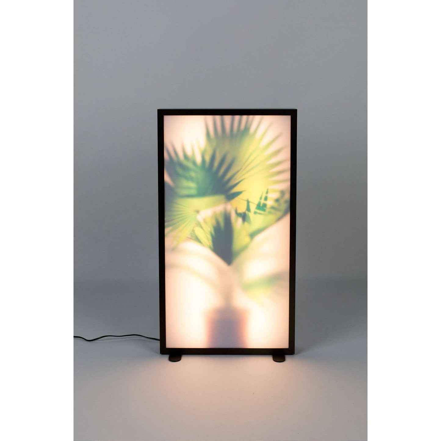 Zuiver vloerlamp grow xl 8 x 44 x 80 cm