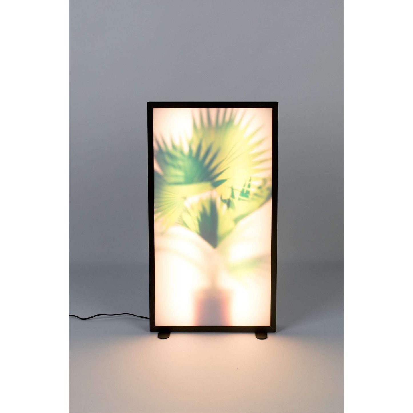 Zuiver vloerlamp grow xl 8 x 44 x 80 cm