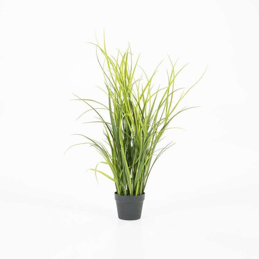 By-Boo Natural grass kunstplant L