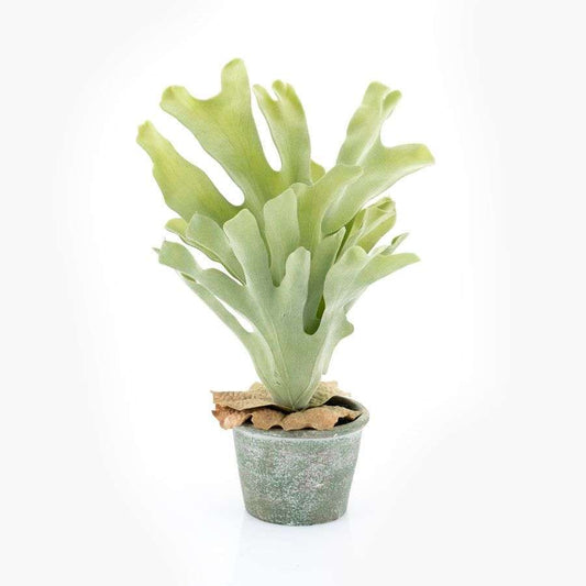By-Boo Staghorn fern kunstplant S