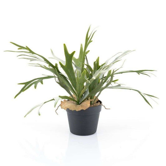 By-Boo Staghorn fern kunstplant