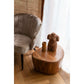 Dutchbone Ayla salontafel naturel