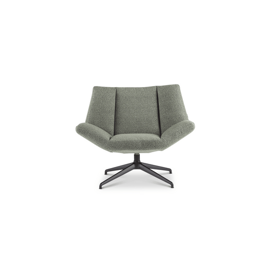 Dyyk Aiden fauteuil laag zwart|alpine thyme