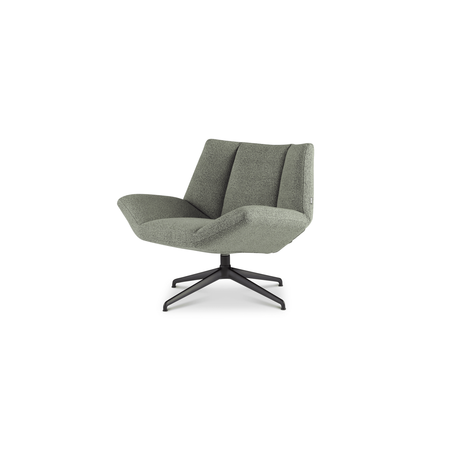 Dyyk Aiden fauteuil laag zwart|alpine thyme