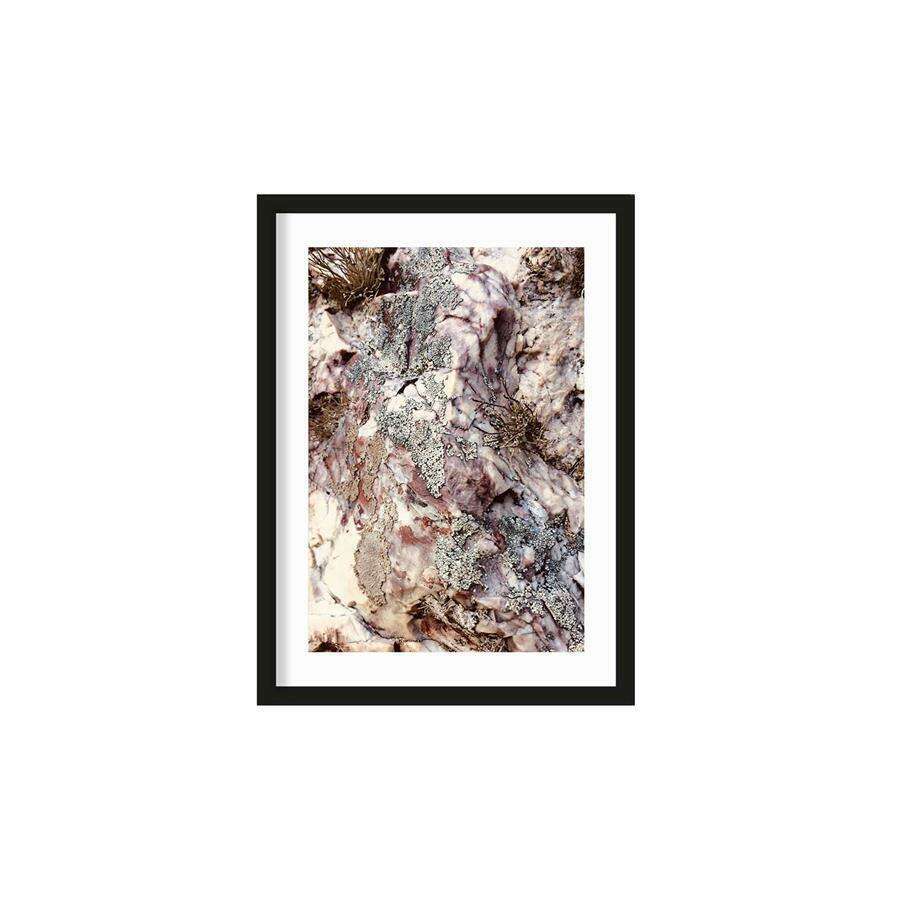 Urban Cotton Stone plants L artprint