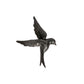 BePureHome Avaler vogel XL wanddeco zwart