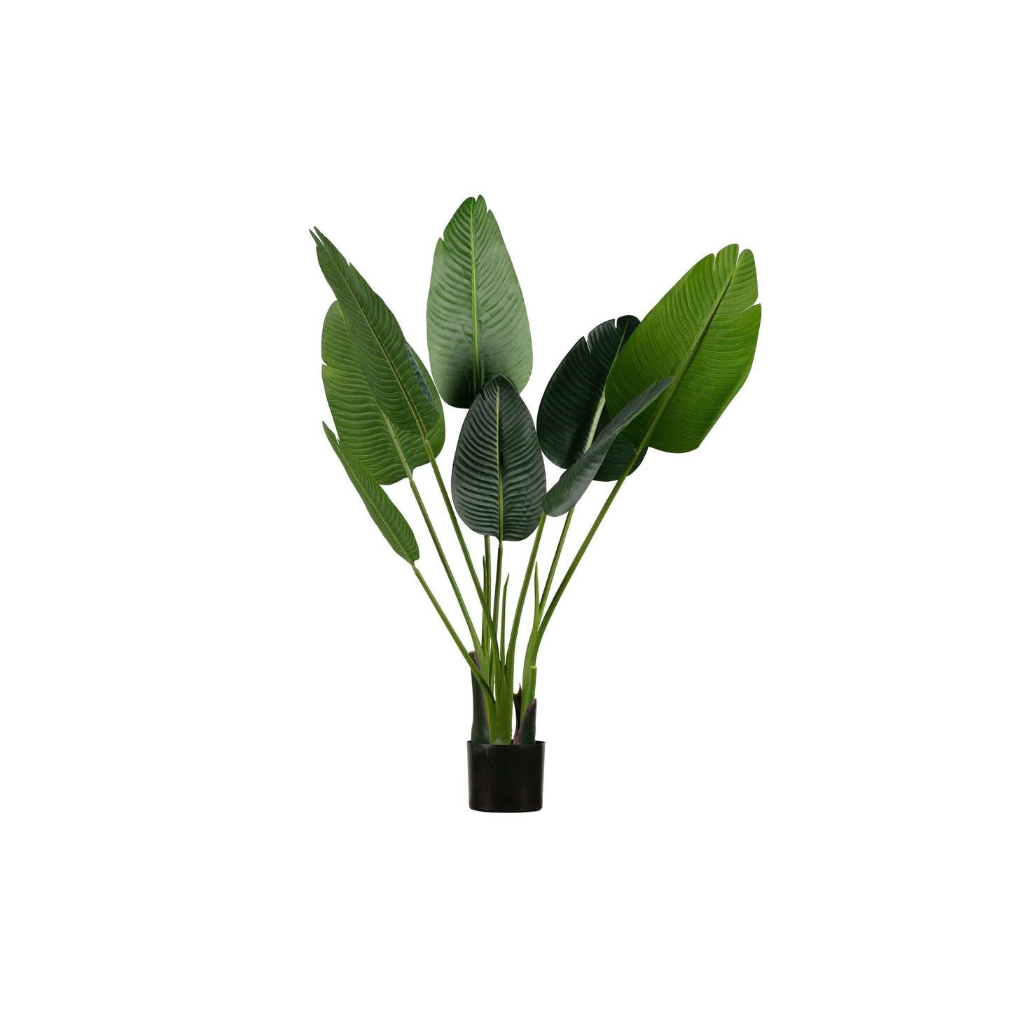 WOOOD Strelitzia kunstplant groen