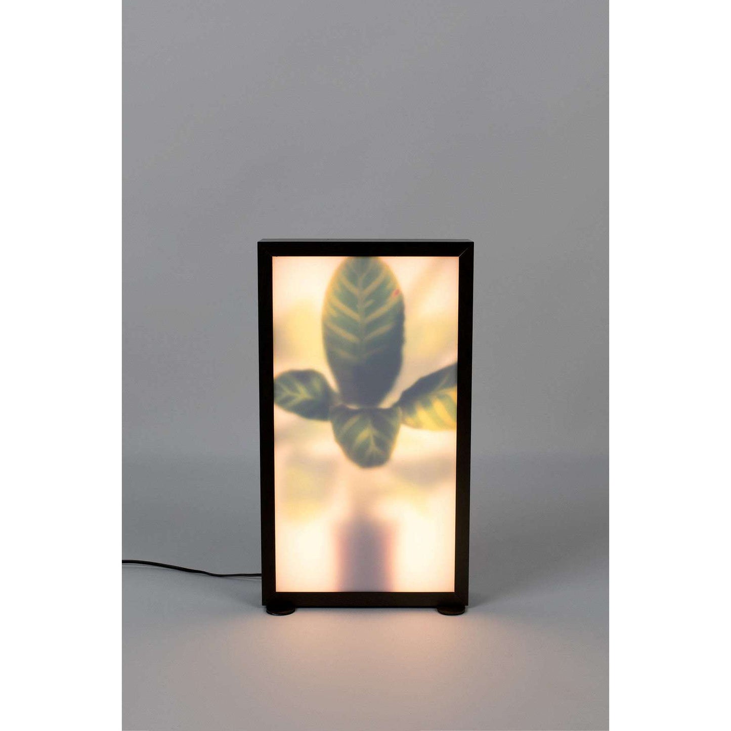 Zuiver vloerlamp grow m 8 x 29 x 51 cm